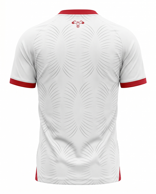 Maillot Jordan National Football Team 26/27 Domicile