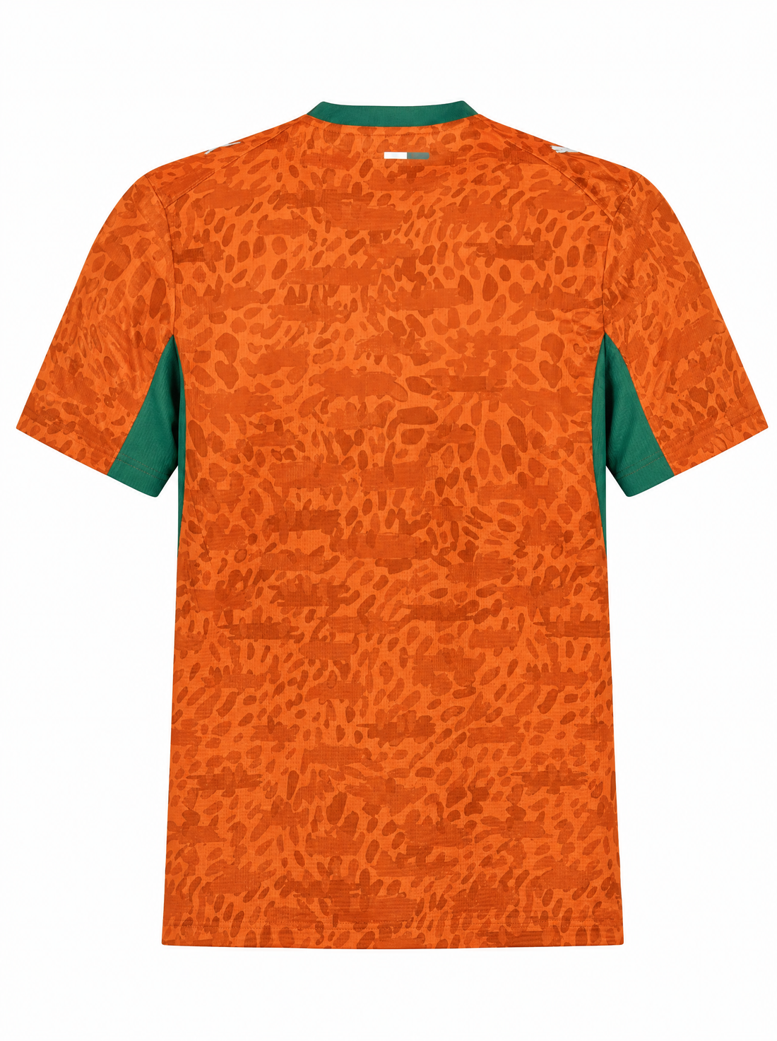Maillot Cote d Ivoire 26/27 Domicile