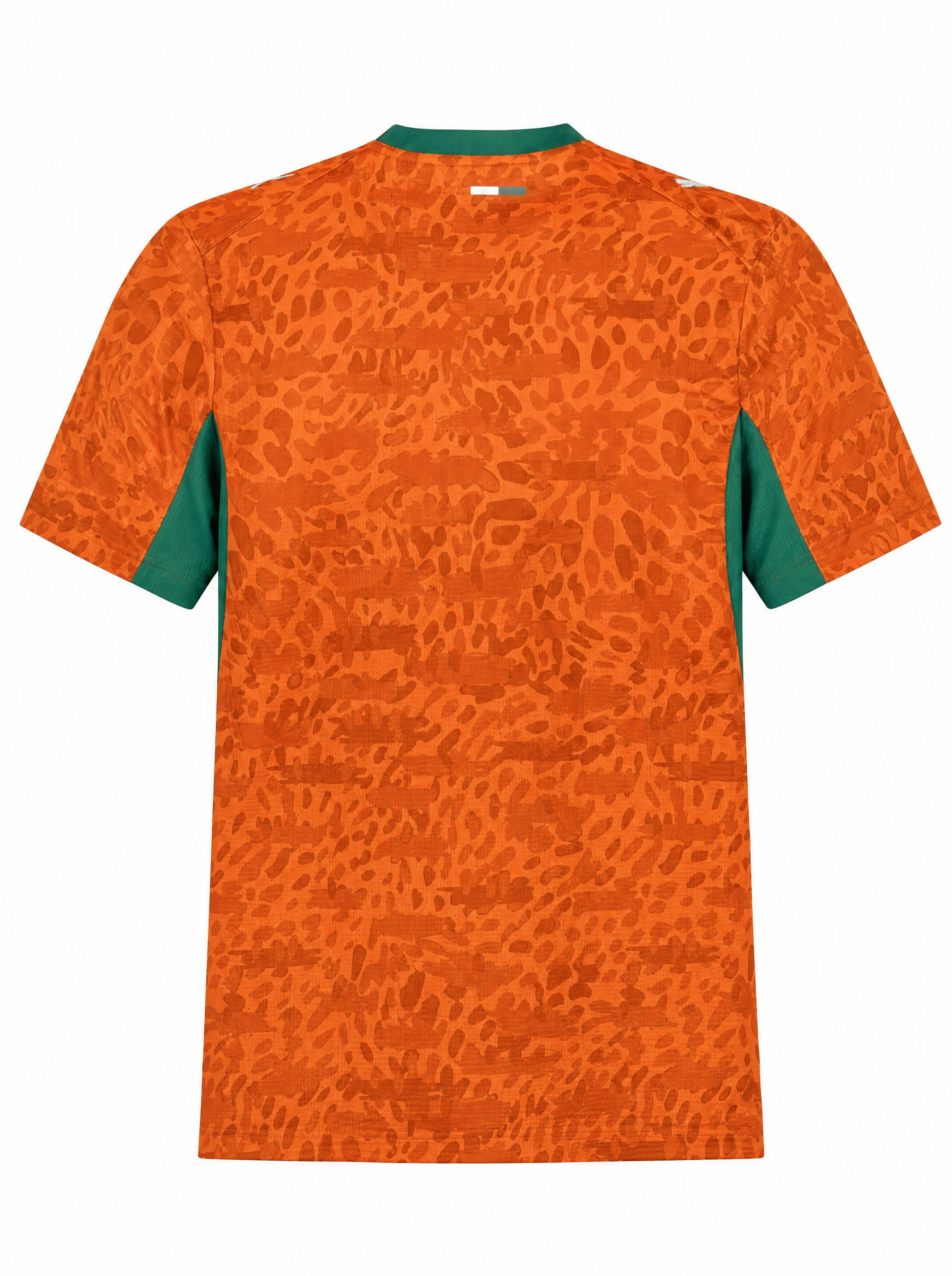 Maillot Cote d Ivoire 26/27 Domicile