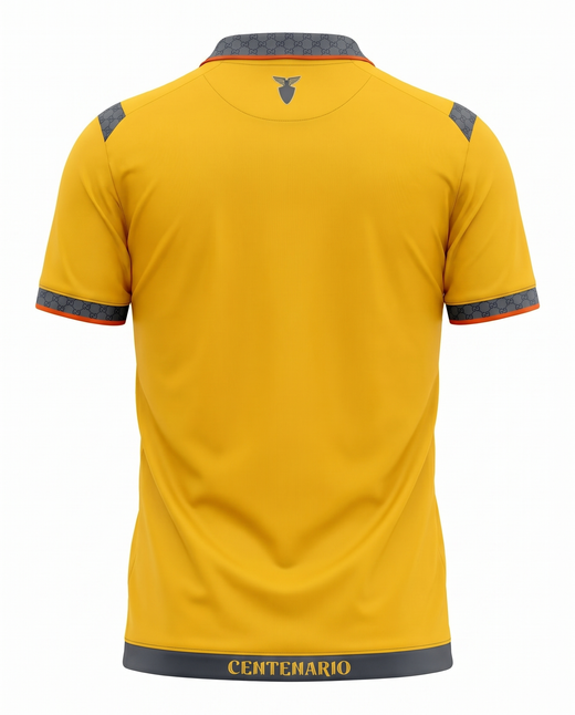 Maillot Ecuador 25/26 Domicile