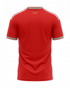 Maillot Pays de Galles 26/27 Domicile