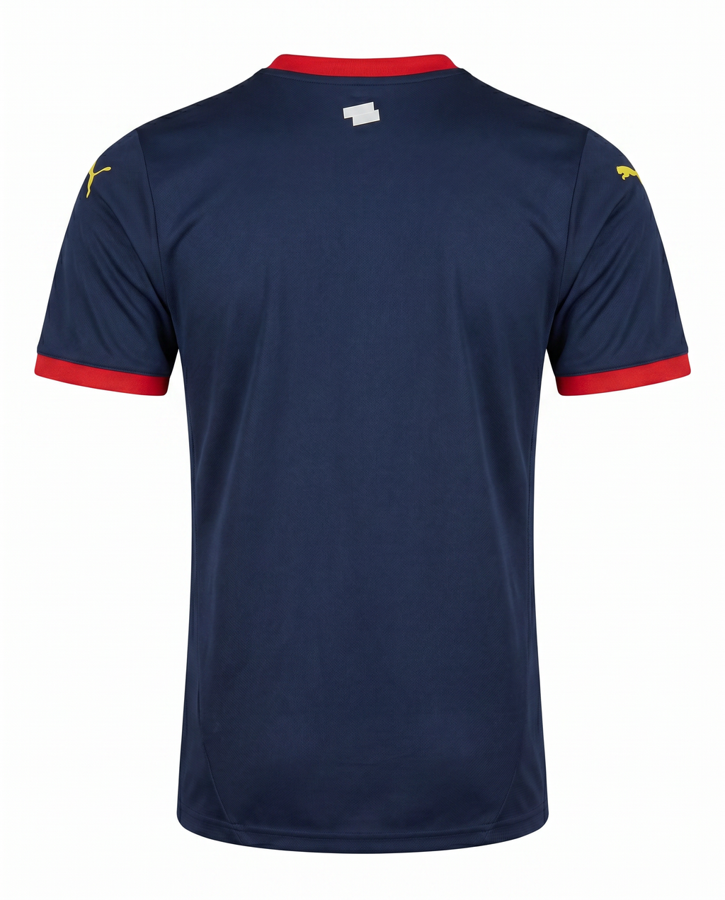 Maillot Girona 24/25 Exterieur