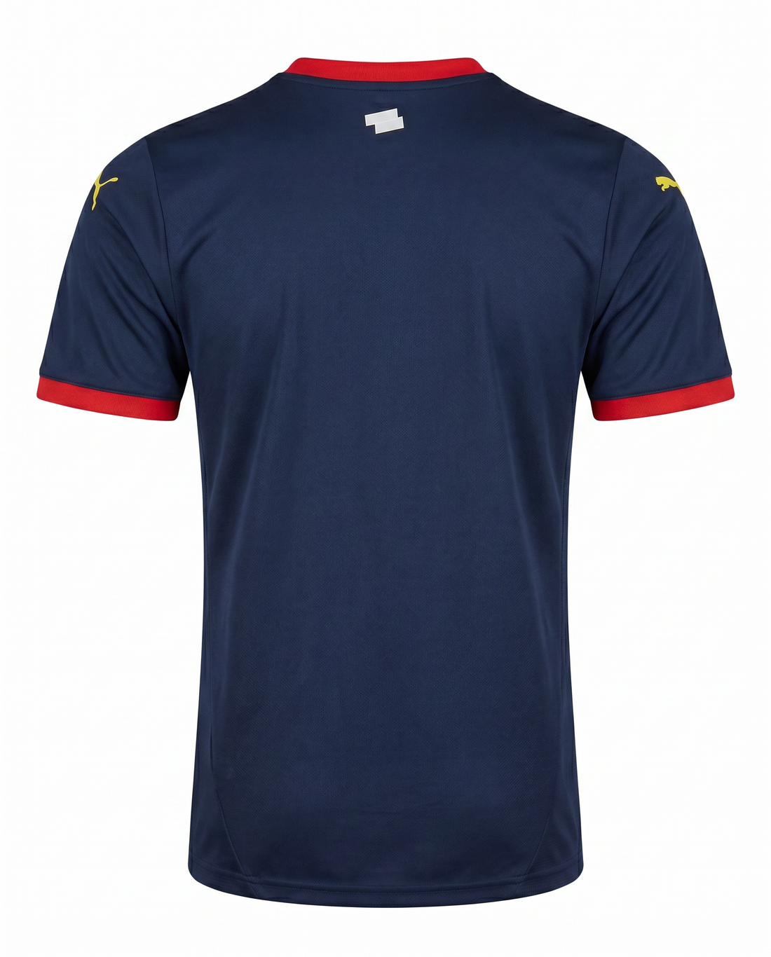 Maillot Girona 24/25 Exterieur