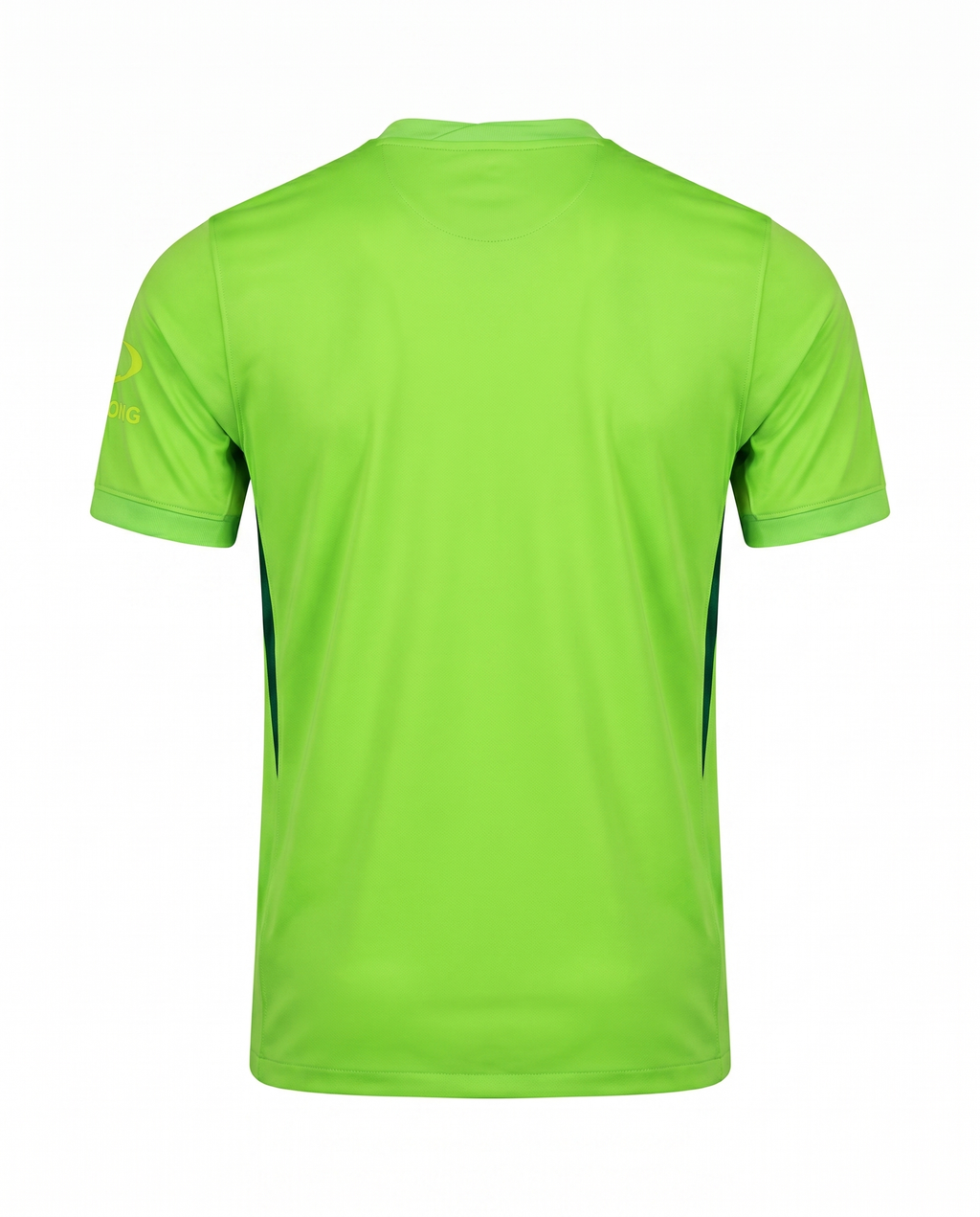 Maillot Wolfsburg 24/25 Domicile