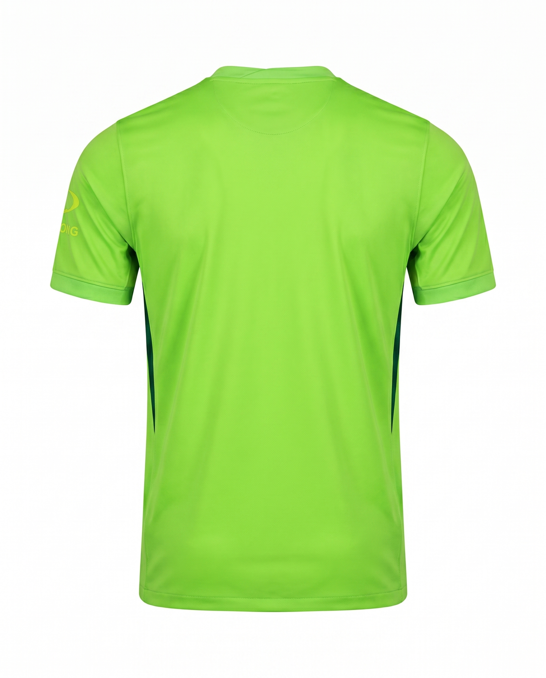 Maillot Wolfsburg 24/25 Domicile
