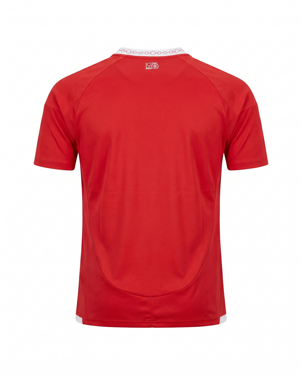 Maillot Bresil 26/27 Domicile