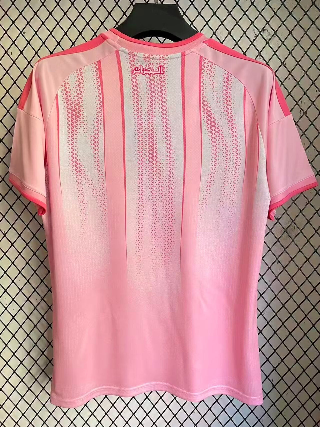 Algerie Concept Rose