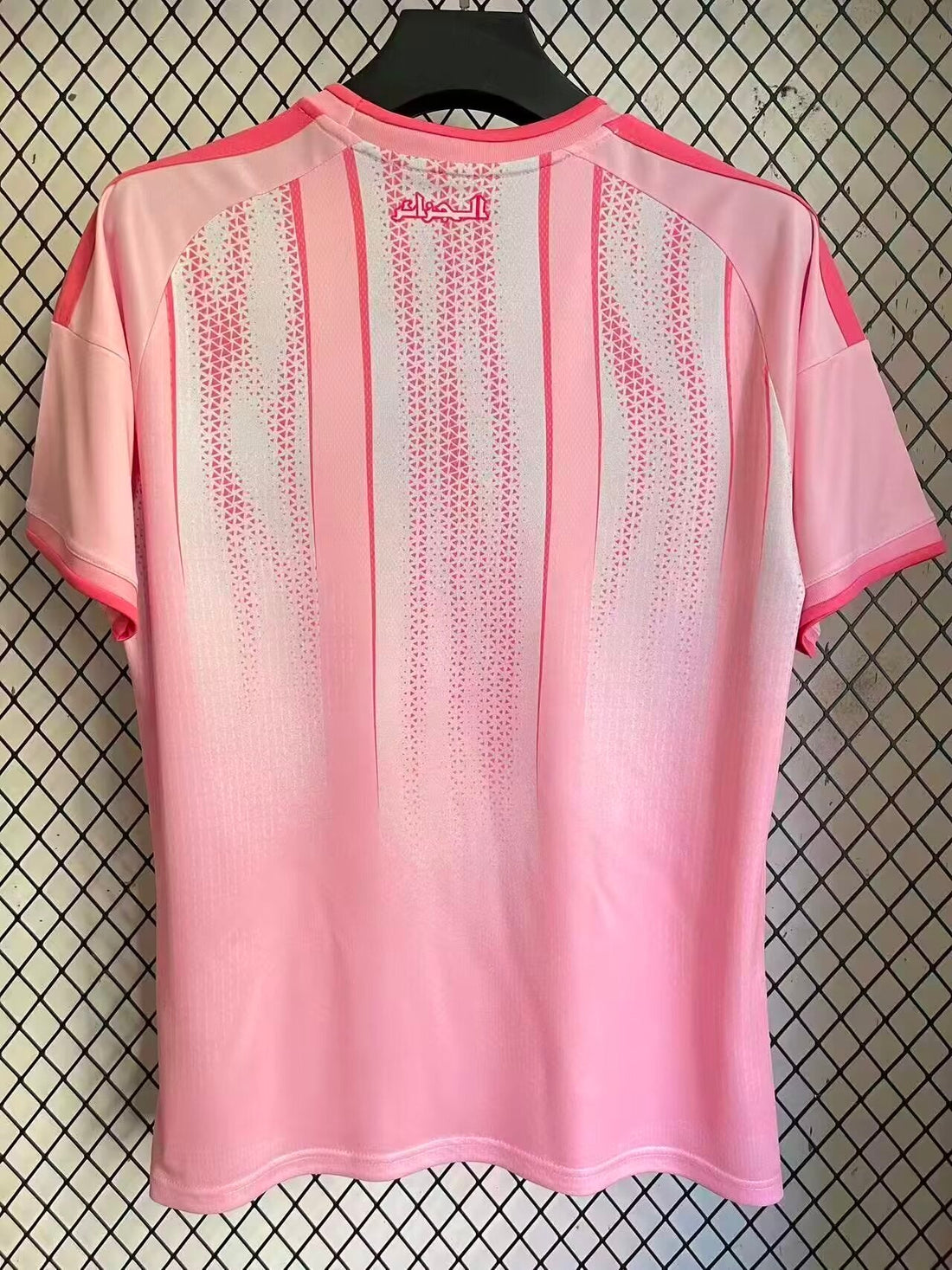 Algerie Concept Rose