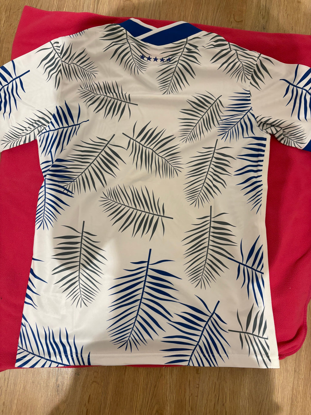 Brésil Concept Feuille Bleu