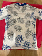 Brésil Concept Feuille Bleu