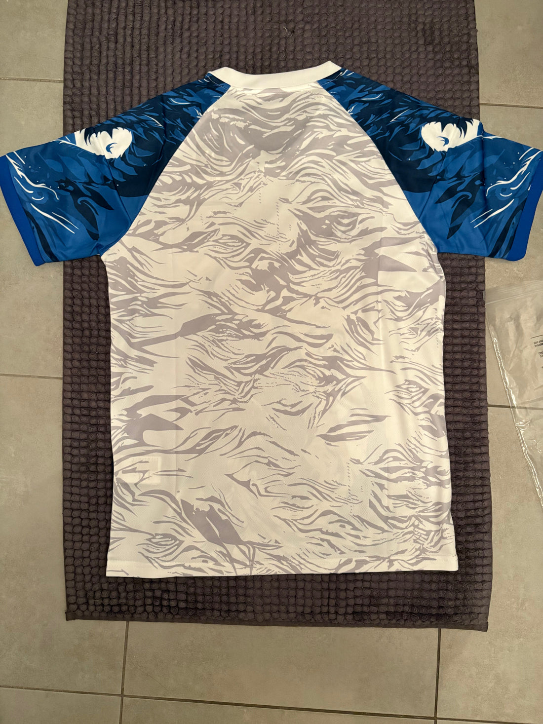 Japon Concept Dragon Bleu