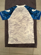 Japon Concept Dragon Bleu