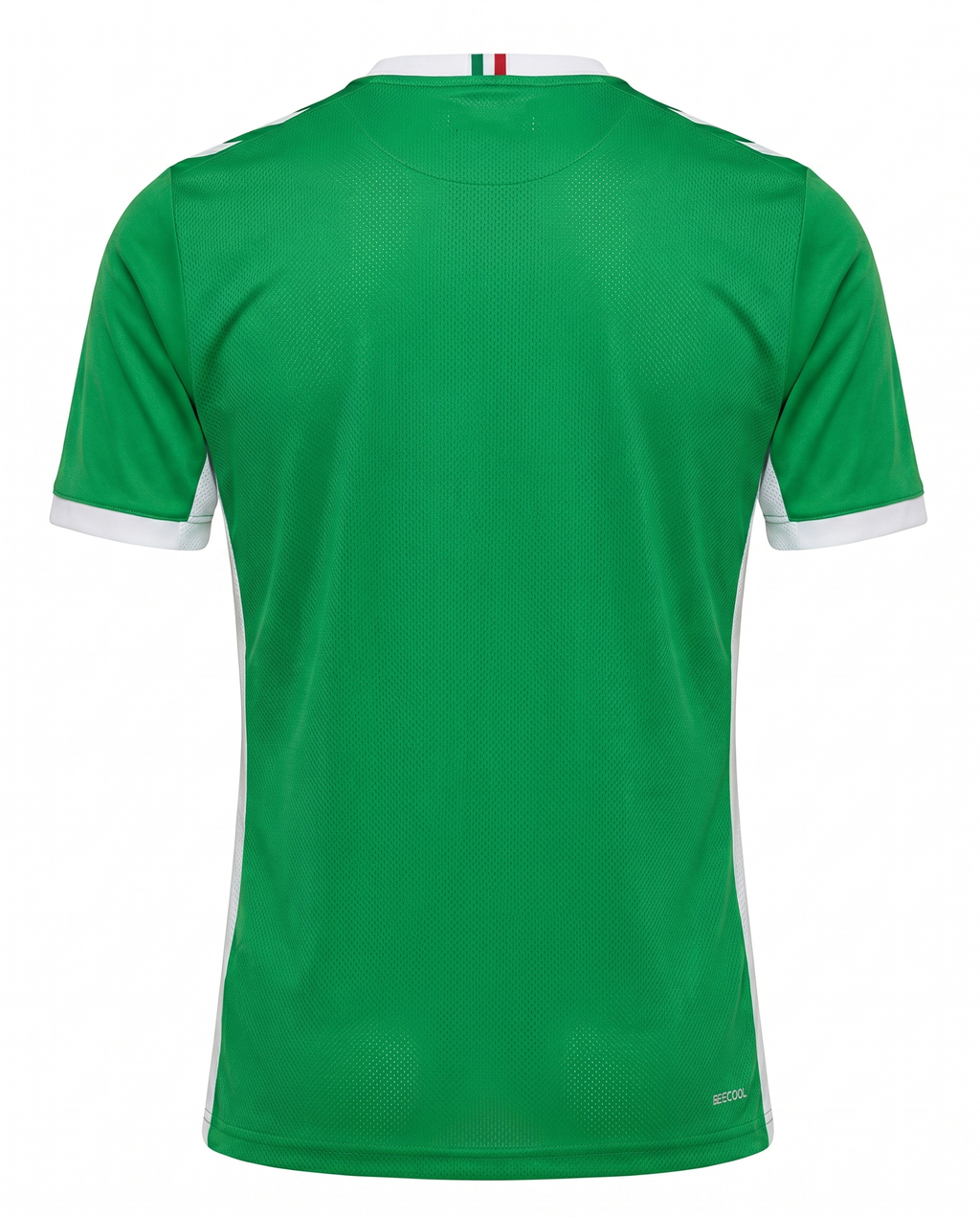 Saint-étienne Domicile 2025-2026