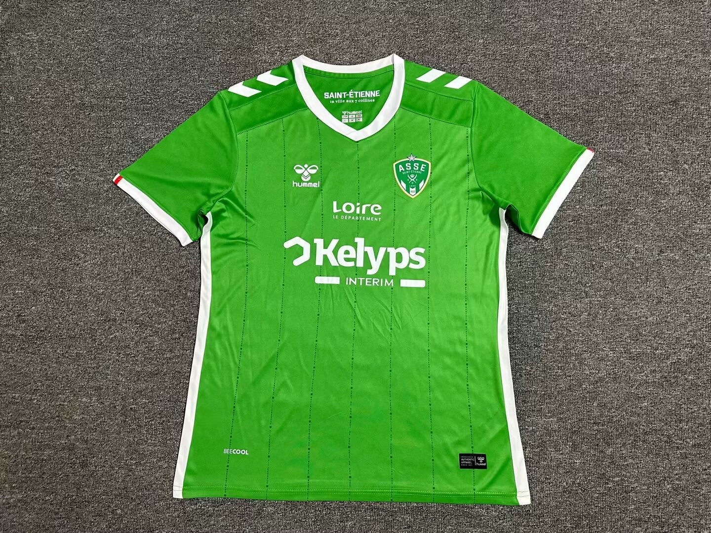 Saint-étienne Domicile 2025-2026
