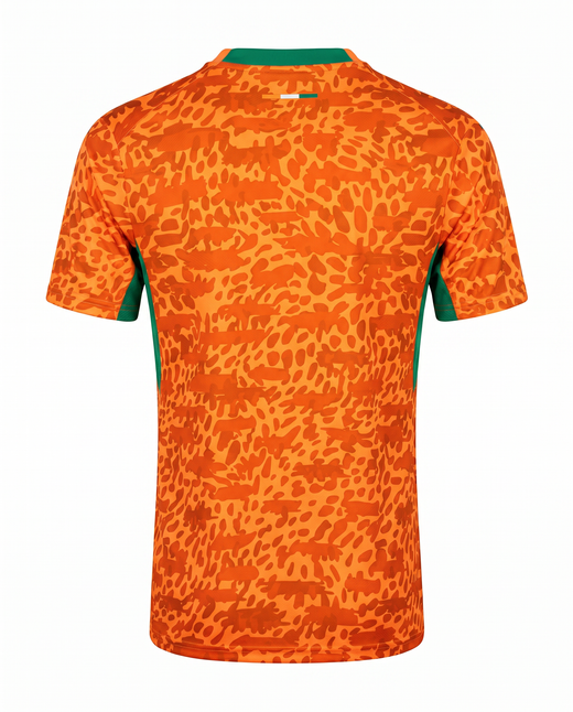 Côte D’ivoire Coupe Du Monde 2026-2027