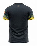 Aston Villa Concept