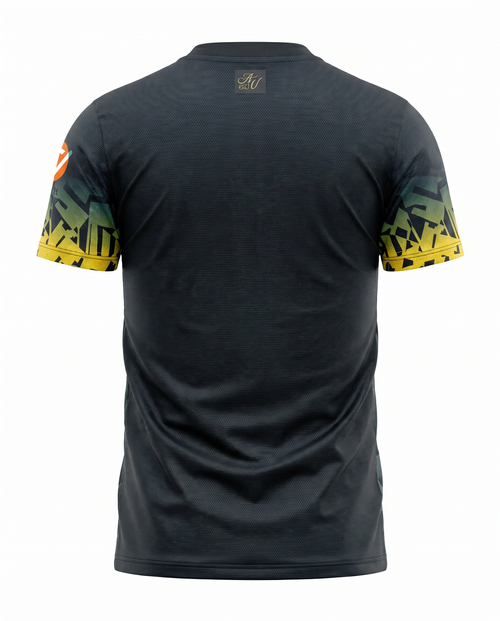 Aston Villa Concept