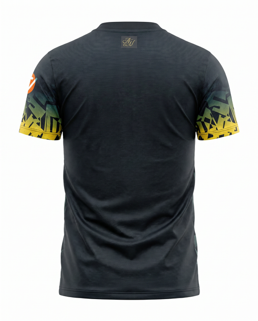 Aston Villa Concept