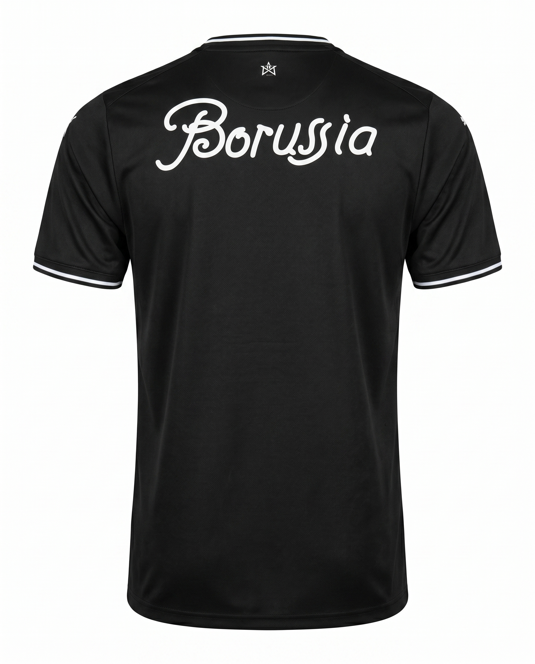 Borussia 2024-2026
