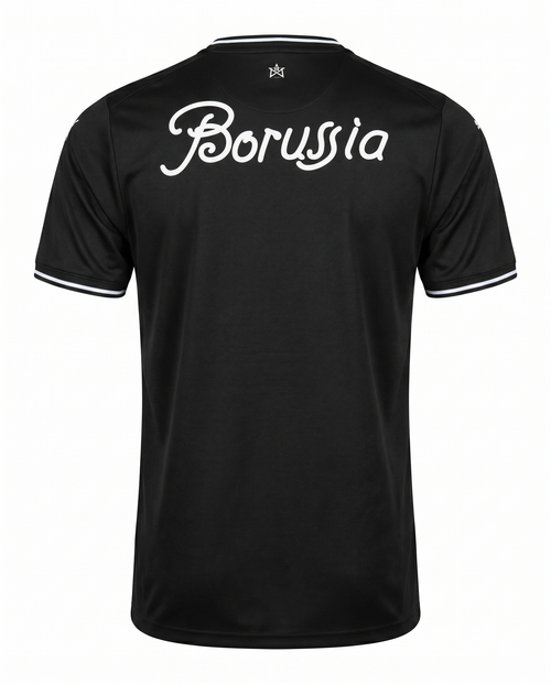 Borussia 2024-2026