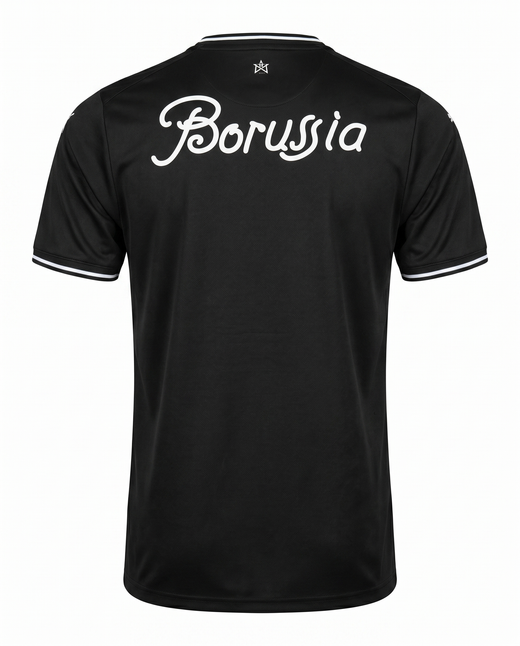 Borussia 2024-2026