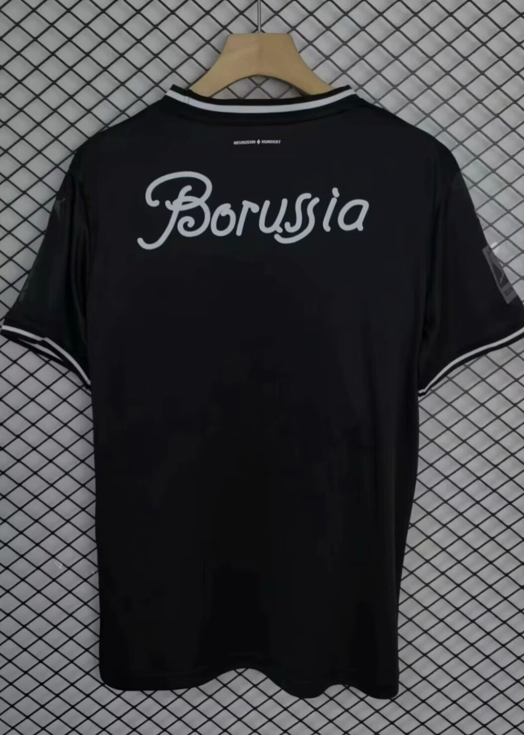 Borussia 2024-2026