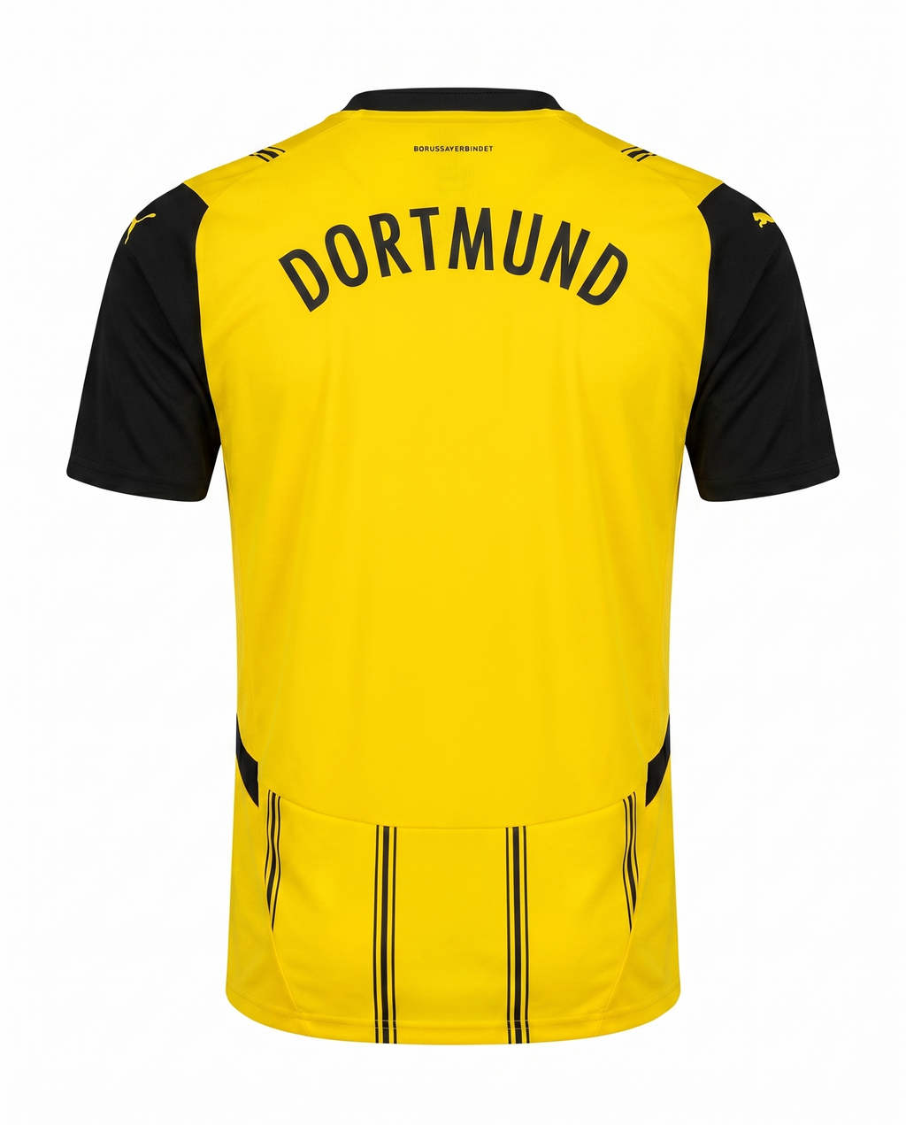 Borussia Dortmund Domicile 2024-2025