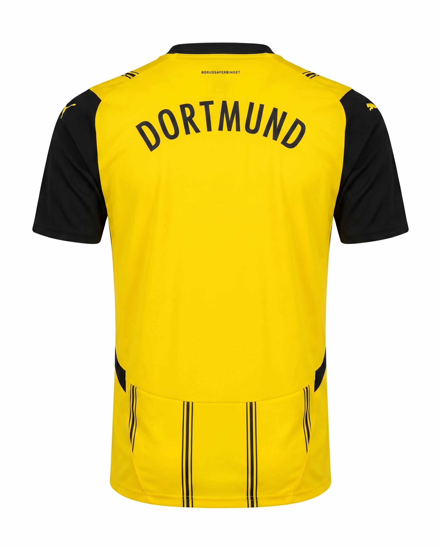Borussia Dortmund Domicile 2024-2025