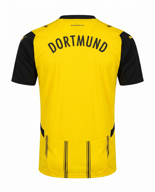 Borussia Dortmund Domicile 2024-2025