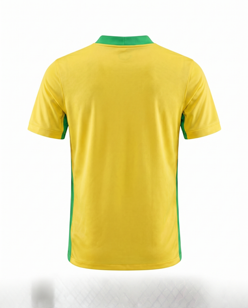 Brésil Dom 2024-2025