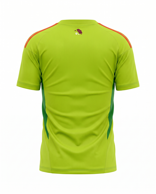 Flamengo Concept