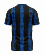 Inter Milan Concept