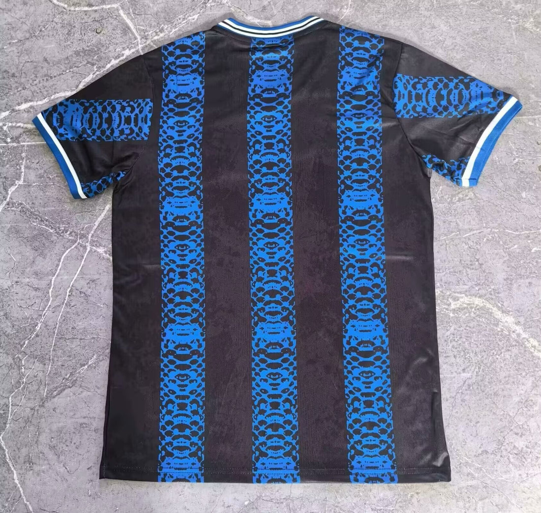 Inter Milan Concept