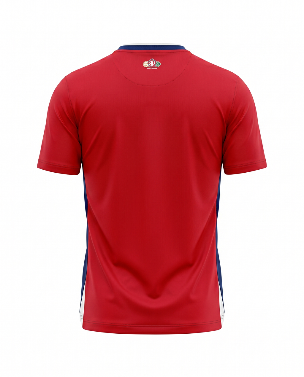 Lille Domicile 2024-2025