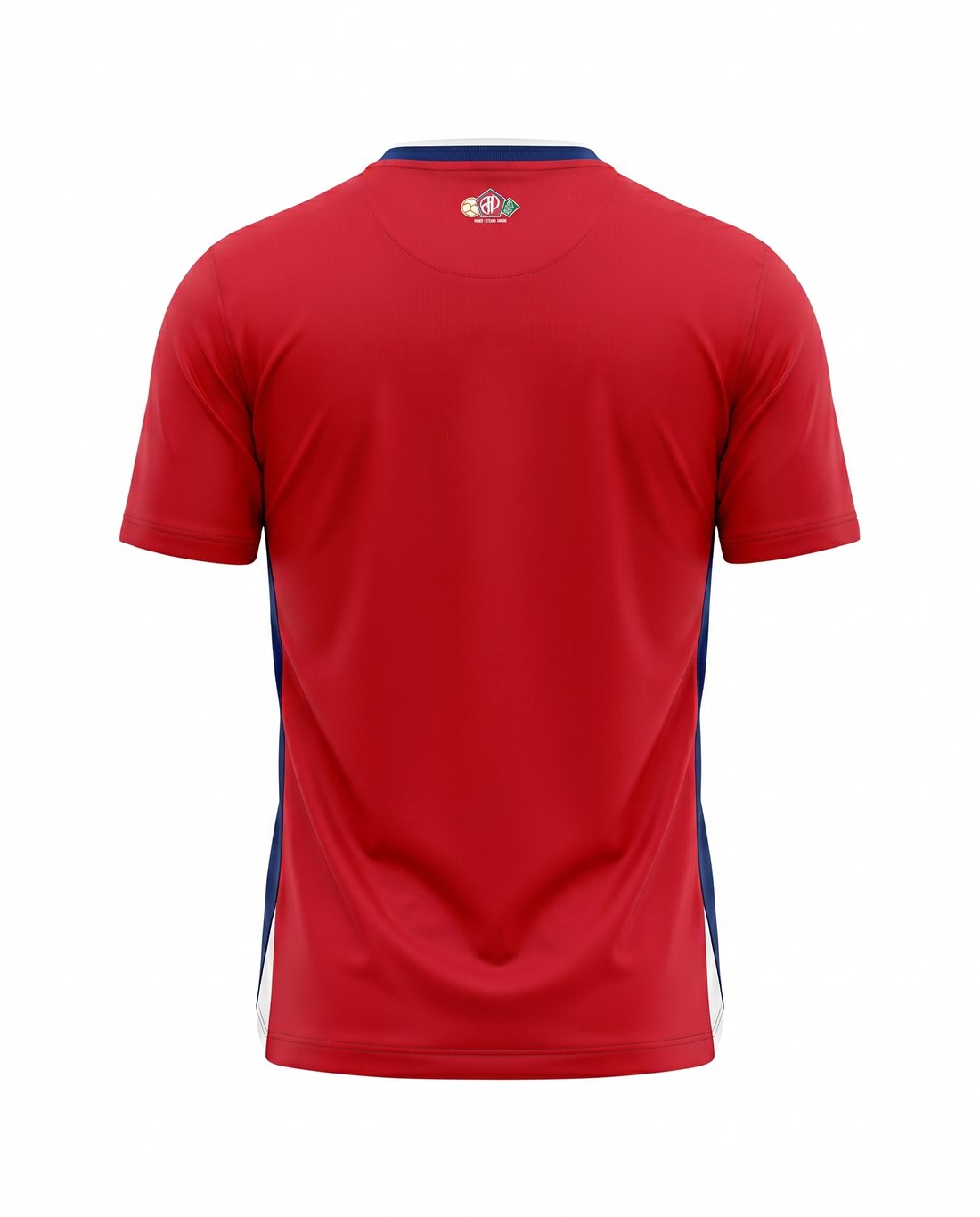 Lille Domicile 2024-2025