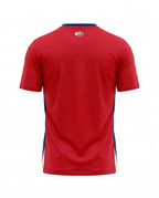 Lille Domicile 2024-2025