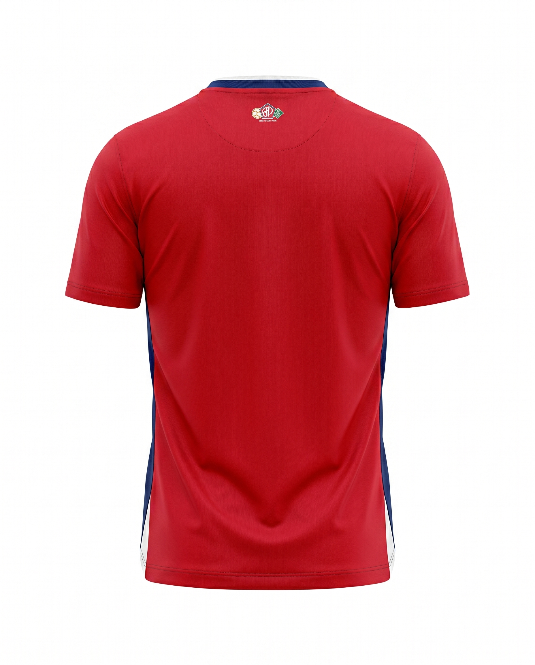 Lille Domicile 2024-2025