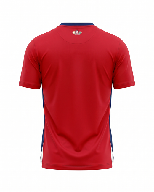Lille Domicile 2024-2025
