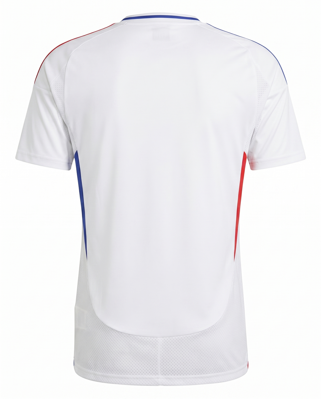 Lyon Domicile 2024-2025