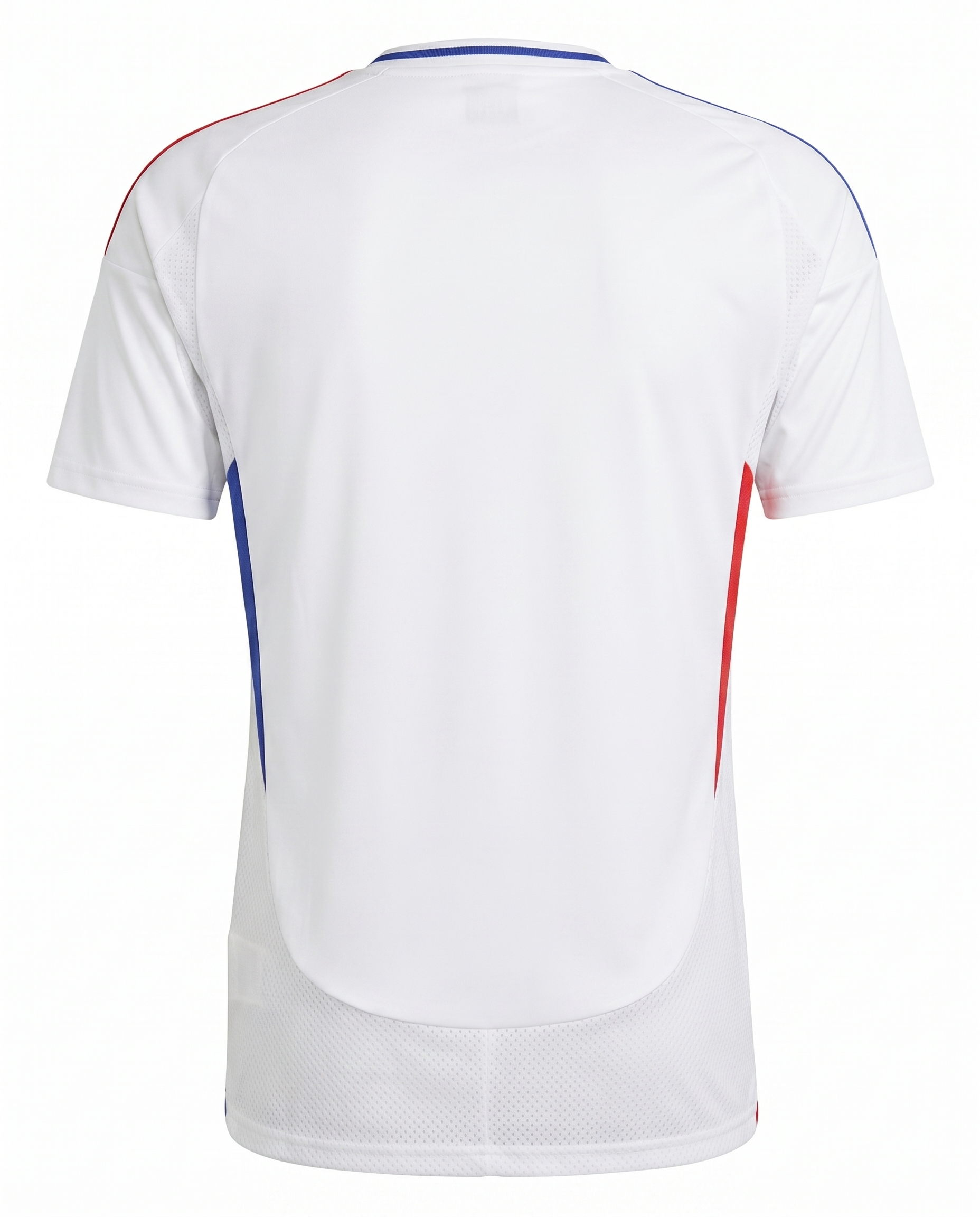 Lyon Domicile 2024-2025