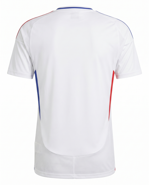 Lyon Domicile 2024-2025