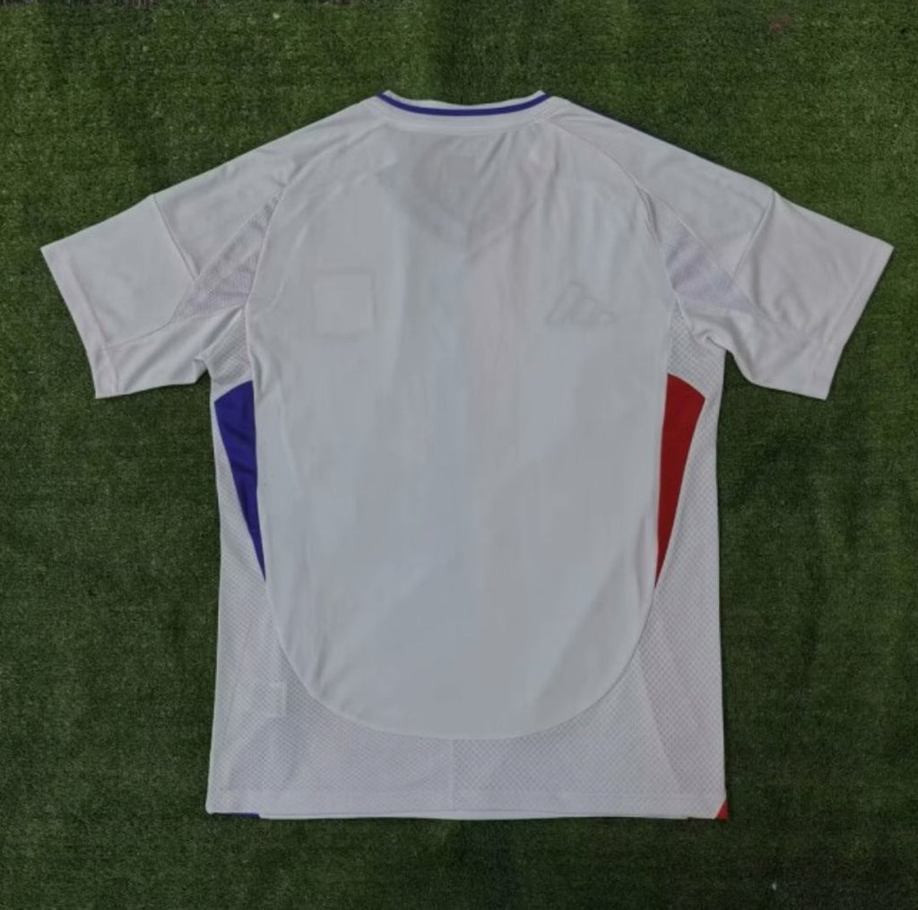 Lyon Domicile 2024-2025
