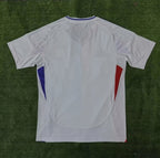 Lyon Domicile 2024-2025
