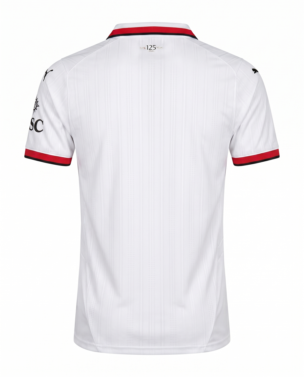 Milan 2024-2025
