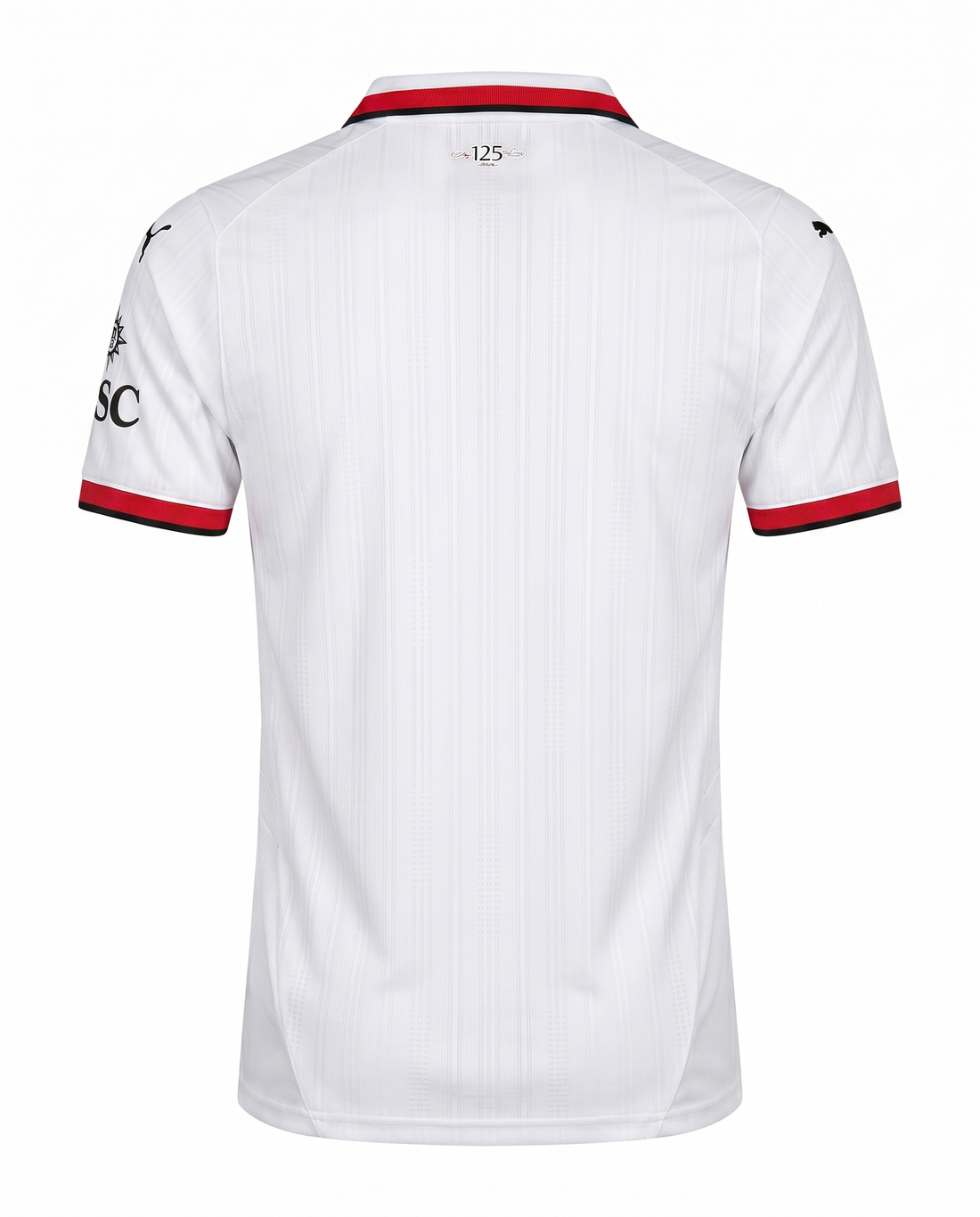 Milan 2024-2025
