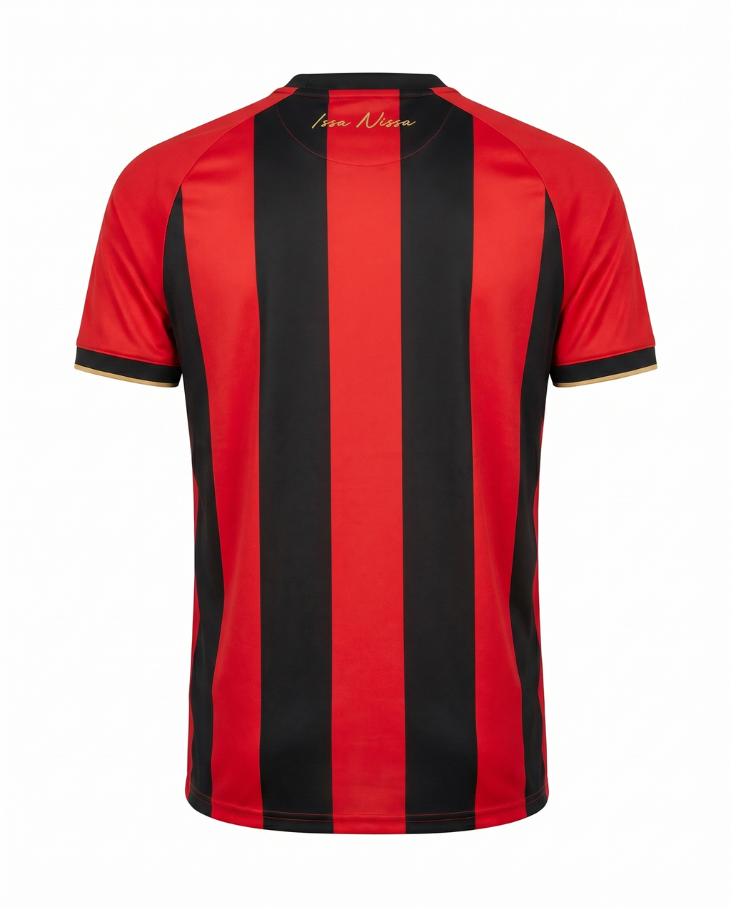 Ogc Nice Domicile 2024-2025