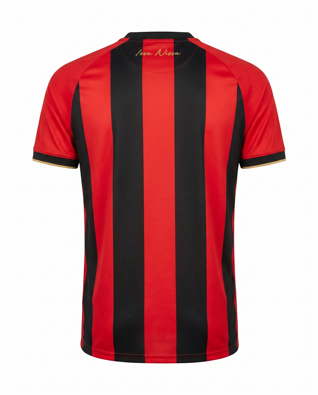 Ogc Nice Domicile 2024-2025
