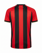 Ogc Nice Domicile 2024-2025