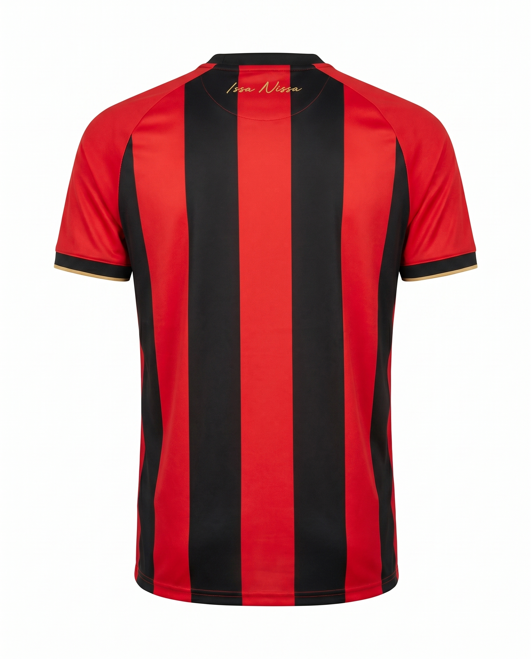 Ogc Nice Domicile 2024-2025