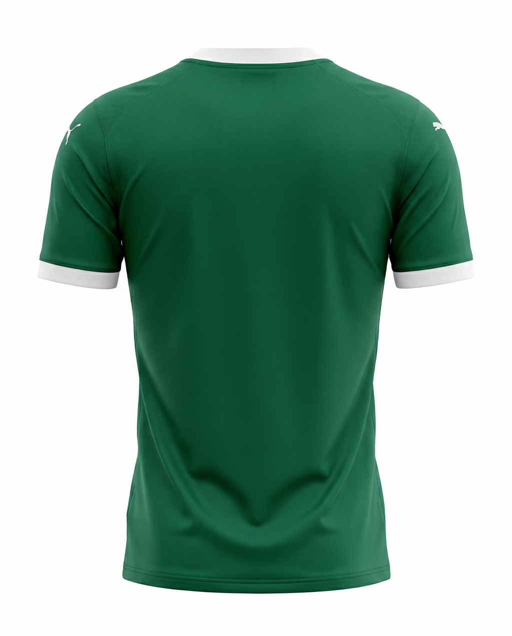 Palmeiras 2025-2026